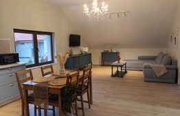 Casa individuala 2 apartamente, 151 mp, zona Centru Istoric 