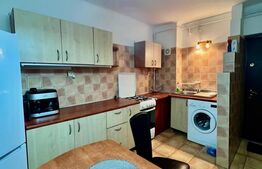 Apartament 2 camere semicentral, 41 mp, zona strazii Paris