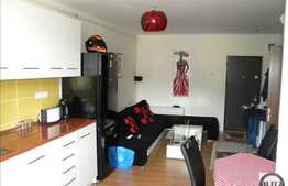 Apartament modern cu 2 camere, 40 mp, balcon inchis, zona Florilor! A.C!
