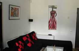 Apartament modern cu 2 camere, 40 mp, balcon inchis, zona Florilor! A.C!