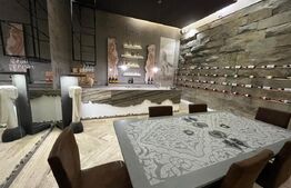 Spatiu showroom 285 mp, vad comercial, cladire mixta, zona strazii Campina