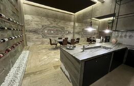 Spatiu showroom 285 mp, vad comercial, cladire mixta, zona strazii Campina