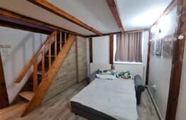 Garsonieră -cat un apartament - spațioasă de vânzare - Central 