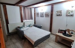 Garsonieră -cat un apartament - spațioasă de vânzare - Central 