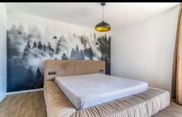 Casa individuala mobilata, 4 camere, Dezmir, 131 mp