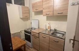 Garsoniera, 30 mp, zona strazii Parang