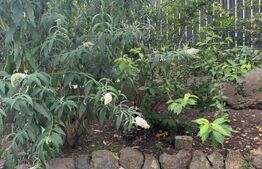 Apartament 3 camere, 82mp, 125mp gradina, parcare, zona Sub Cetate