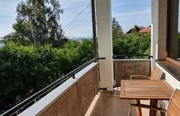 Apartament 4 camere, 150 mp, mobilat si finisat lux, garaj, AC, zona strazii C.A Rosetti