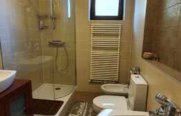 Apartament 4 camere, 150 mp, mobilat si finisat lux, garaj, AC, zona strazii C.A Rosetti