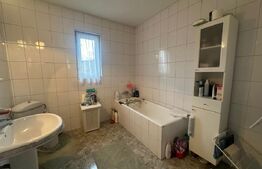 Imobil cu 12 camere/2 spatii comerciale, 210/283 mp, zona-semicentrala