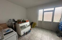 Imobil cu 12 camere/2 spatii comerciale, 210/283 mp, zona-semicentrala