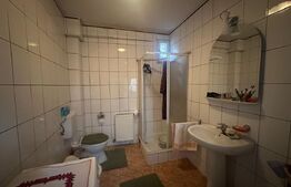 Imobil cu 12 camere/2 spatii comerciale, 210/283 mp, zona-semicentrala