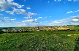 Teren 650 mp, PUZ in lucru, zona de case, zona Borhanci