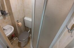 Garsoniera, 22 mp, pet friendly, zona strazii Migdalului