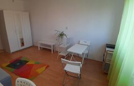 Garsoniera, 22 mp, pet friendly, zona strazii Migdalului