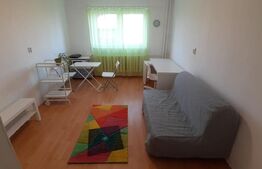 Garsoniera, 22 mp, pet friendly, zona strazii Migdalului