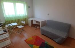 Garsoniera, 22 mp, pet friendly, zona strazii Migdalului