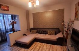 Apartament 2 camere, 50 mp, zona Garii