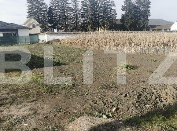 Teren de vânzare Harmanului - 163000TV | BLITZ Brașov | Poza3