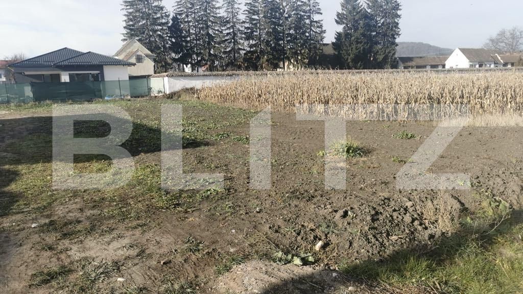 Teren de vânzare Harmanului - 163000TV | BLITZ Brașov | Poza3