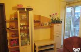 2 camere, 43 mp, balcon de 10 mp, parcare, zona Teilor! Mobilat sau nemobilat!