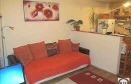 2 camere, 43 mp, balcon de 10 mp, parcare, zona Teilor! Mobilat sau nemobilat!