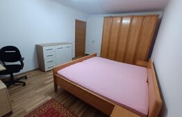 Apartament 1 Camera, 39 mp, parcare, Borhanci