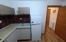 Apartament 1 Camera, 39 mp, parcare, Borhanci