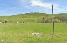 Teren cu CU constructie , 1551 mp , acces drum asfaltat , Salicea 