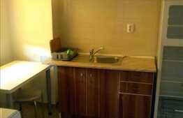 1 camera+nisa de dormit, 40 mp, mobilat modern, zona Studium Green