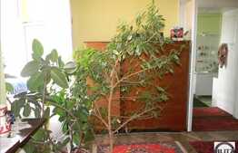 Apartament cu 1 camera, 54 mp, zona Memorandumului, posibilitate mansardare