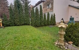 Apartament in vila, 4 camere, 300 mp, D+E+M, zona ultracentrala