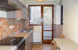 2 camere, 50 mp, mobilat modern, zona strazii Dragalina