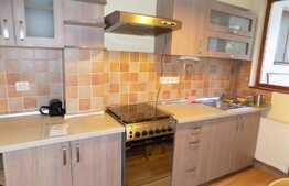 2 camere, 50 mp, mobilat modern, zona strazii Dragalina