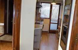 2 camere, 50 mp, mobilat modern, zona strazii Dragalina