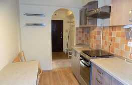 2 camere, 50 mp, mobilat modern, zona strazii Dragalina