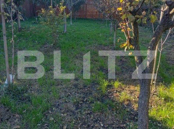 Casa de vânzare 7 camere Stupini - 163336CV | BLITZ Brașov | Poza11