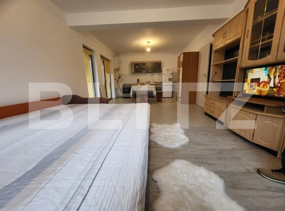 Garsonieră de închiriat Cristian - 163373AI | BLITZ Brașov | Poza3