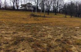 Oportunitate investitie teren intravilan Zarnesti