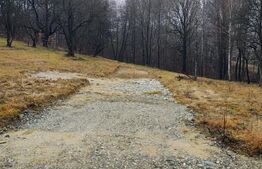 Oportunitate investitie teren intravilan Zarnesti