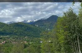 Oportunitate investitie teren intravilan Zarnesti