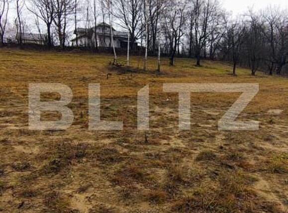 Teren de vânzare Zarnesti - 163375TV | BLITZ Brașov | Poza5