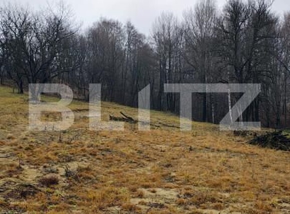 Teren de vânzare Zarnesti - 163375TV | BLITZ Brașov | Poza3