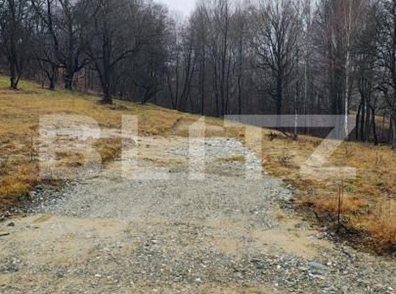 Teren de vânzare Zarnesti - 163375TV | BLITZ Brașov | Poza4