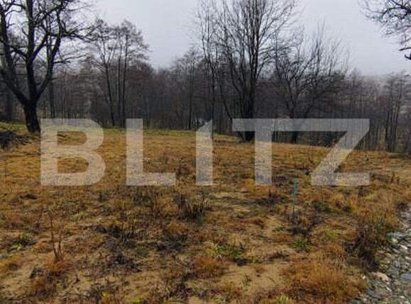 Teren de vânzare Zarnesti - 163375TV | BLITZ Brașov | Poza6