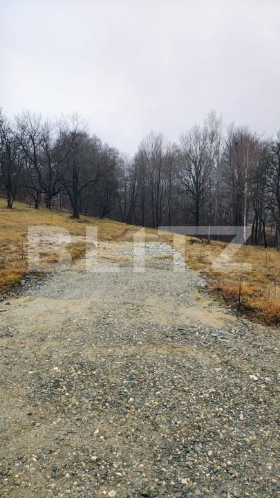 Teren de vânzare Zarnesti - 163375TV | BLITZ Brașov | Poza4