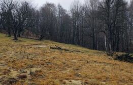 Oportunitate investitie teren intravilan Zarnesti