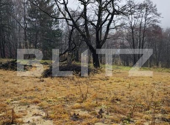 Teren de vânzare Zarnesti - 163376TV | BLITZ Brașov | Poza6