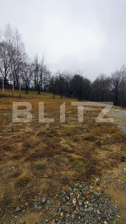 Teren de vânzare Zarnesti - 163376TV | BLITZ Brașov | Poza5