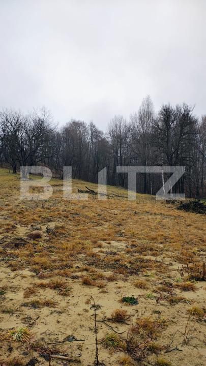 Teren de vânzare Zarnesti - 163376TV | BLITZ Brașov | Poza4